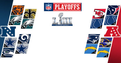 Playoff NFL 2019 Divisional