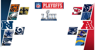 Playoff NFL 2019 Wild Card