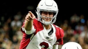 Josh Rosen rookie Cardinals